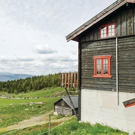 Appartement Sulseter Fjellstugu à Vinstra Extérieur photo