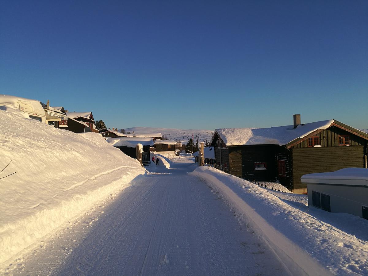 Appartement Sulseter Fjellstugu à Vinstra Extérieur photo